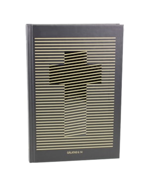 BÍBLIA SAGRADA NAA, LETRA REGULAR, COM MAPA, CAPA DURA DOURADA: NOVA ALMEIDA ATUALIZADA (NAA)