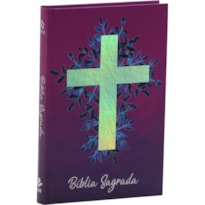 BÍBLIA SAGRADA NAA, LETRA REGULAR, COM PALAVRAS DE JESUS DESTACADAS, CAPA DURA VINHO: NOVA ALMEIDA ATUALIZADA (NAA)