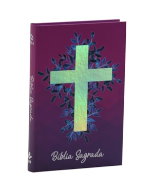 BÍBLIA SAGRADA NAA, LETRA REGULAR, COM PALAVRAS DE JESUS DESTACADAS, CAPA DURA VINHO: NOVA ALMEIDA ATUALIZADA (NAA)