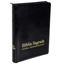 BÍBLIA SAGRADA NAA, LETRA SUPERGIGANTE, COM PALAVRAS DE JESUS DESTACADAS, COM ÍNDICE, COM ZÍPER, CAPA COURO SINTÉTICO PRETA: NOVA ALMEIDA ATUALIZADA (NAA)