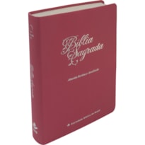 BÍBLIA SAGRADA NAA LINHA OURO LETRA GIGANTE: ALMEIDA REVISTA E ATUALIZADA (ARA)