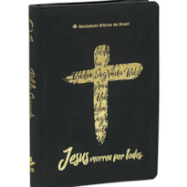 BÍBLIA SAGRADA NAA LINHA OURO: NOVA ALMEIDA ATUALIZADA (NAA)