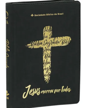 BÍBLIA SAGRADA NAA LINHA OURO: NOVA ALMEIDA ATUALIZADA (NAA)