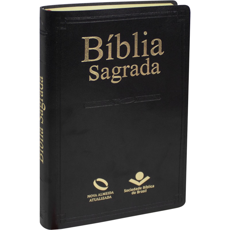 BÍBLIA SAGRADA NAA: NOVA ALMEIDA ATUALIZADA (NAA)