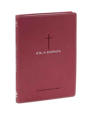 BÍBLIA SAGRADA NAA PARA MULHER, LETRA REGULAR, COM PALAVRAS DE JESUS DESTACADAS, CAPA COURO SINTÉTICO ROSA: NOVA ALMEIDA ATUALIZADA (NAA)