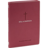 BÍBLIA SAGRADA NAA PARA MULHER, LETRA REGULAR, COM PALAVRAS DE JESUS DESTACADAS, COM MAPA, CAPA COURO SINTÉTICO ROSA: NOVA ALMEIDA ATUALIZADA (NAA)