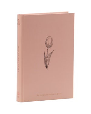 BÍBLIA SAGRADA NAA PARA MULHER, LETRA REGULAR, COM PALAVRAS DE JESUS DESTACADAS, COM MAPA, CAPA DURA ROSE: NOVA ALMEIDA ATUALIZADA (NAA)