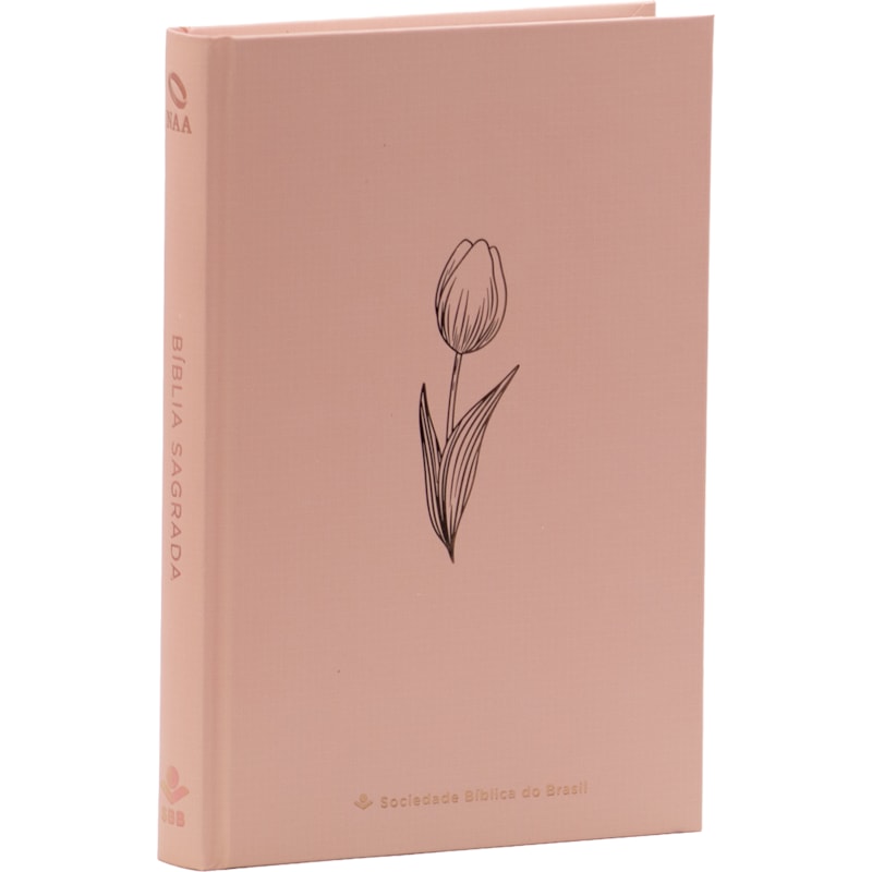 BÍBLIA SAGRADA NAA PARA MULHER, LETRA REGULAR, COM PALAVRAS DE JESUS DESTACADAS, COM MAPA, CAPA DURA ROSE: NOVA ALMEIDA ATUALIZADA (NAA)