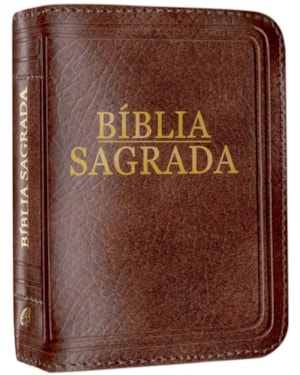 BÍBLIA SAGRADA - NOVA TRADUÇÃO NA LINGUAGEM DE HOJE - (BOLSO - ZÍPER MARROM)
