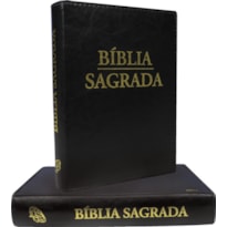 BÍBLIA SAGRADA - NOVA TRADUÇÃO NA LINGUAGEM DE HOJE - (LETRA GRANDE)