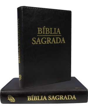 BÍBLIA SAGRADA - NOVA TRADUÇÃO NA LINGUAGEM DE HOJE - (LETRA GRANDE)