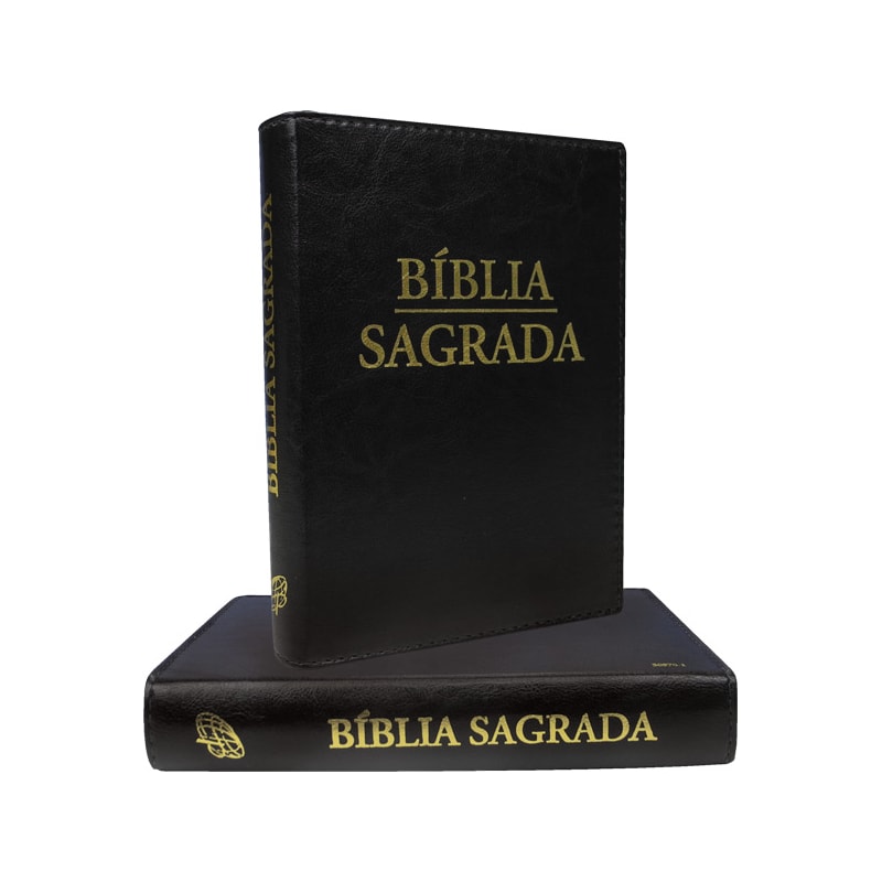 BÍBLIA SAGRADA - NOVA TRADUÇÃO NA LINGUAGEM DE HOJE - (LETRA GRANDE)