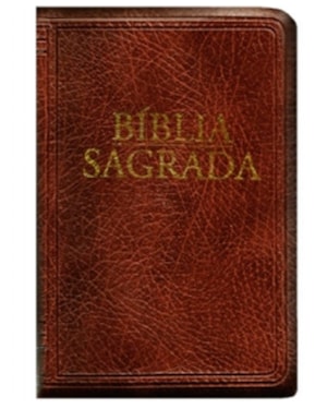 BÍBLIA SAGRADA - NOVA TRADUÇÃO NA LINGUAGEM DE HOJE - (MÉDIA - ZÍPER MARROM)