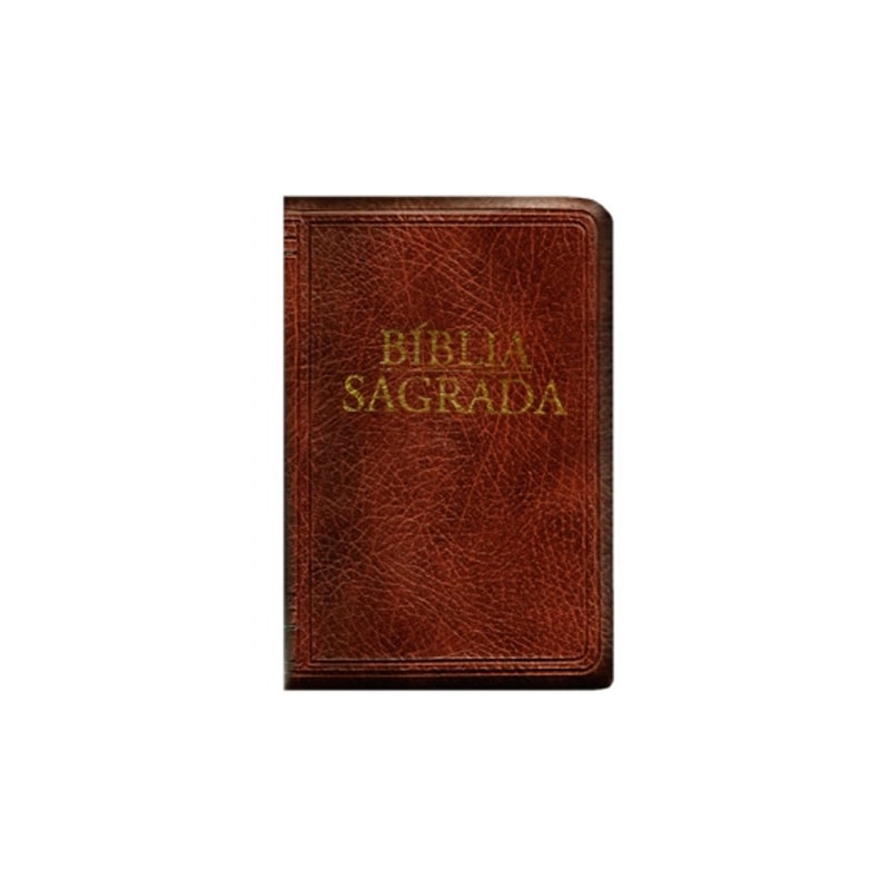 BÍBLIA SAGRADA - NOVA TRADUÇÃO NA LINGUAGEM DE HOJE - (MÉDIA - ZÍPER MARROM)