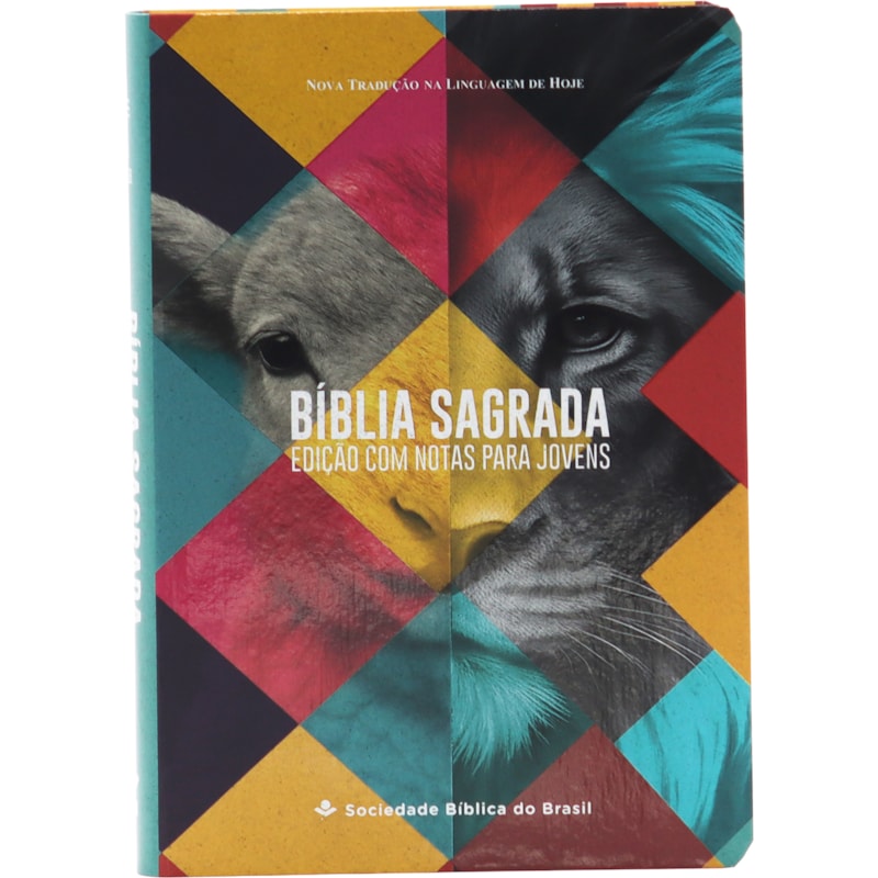 BÍBLIA SAGRADA NTLH COM NOTAS PARA JOVENS: NOVA TRADUÇÃO NA LINGUAGEM DE HOJE (NTLH)