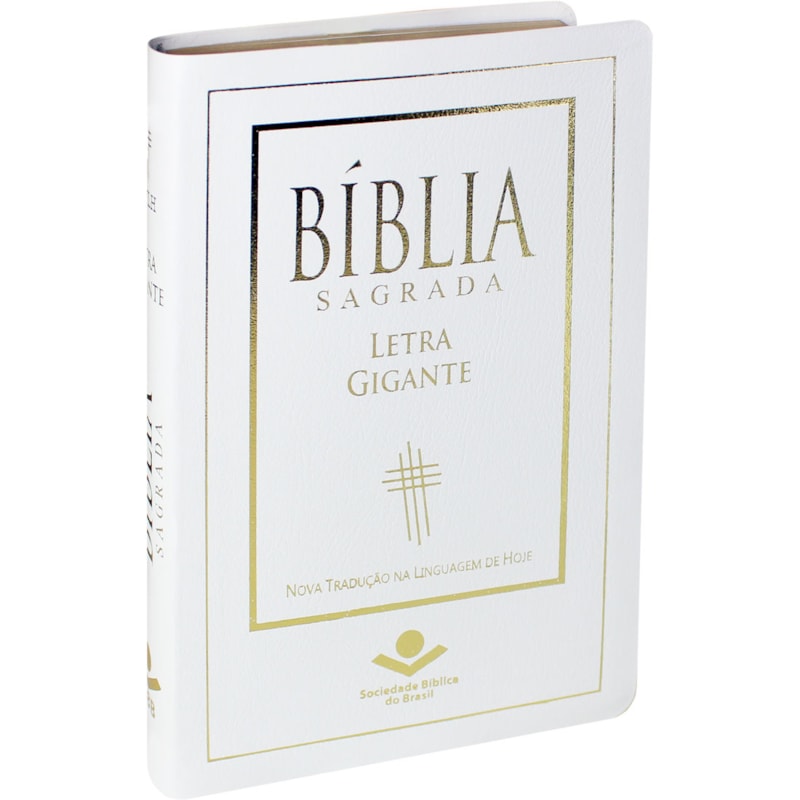 BÍBLIA SAGRADA NTLH LETRA GIGANTE: NOVA TRADUÇÃO NA LINGUAGEM DE HOJE (NTLH)