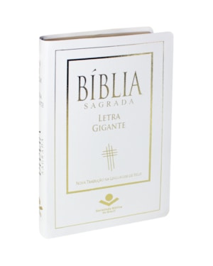 BÍBLIA SAGRADA NTLH LETRA GIGANTE: NOVA TRADUÇÃO NA LINGUAGEM DE HOJE (NTLH)