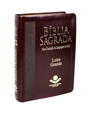 BÍBLIA SAGRADA NTLH, LETRA GRANDE, COM MAPA, CAPA COURO SINTÉTICO MARROM: NOVA TRADUÇÃO NA LINGUAGEM DE HOJE (NTLH)