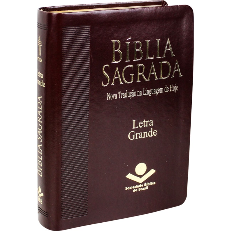 BÍBLIA SAGRADA NTLH, LETRA GRANDE, COM MAPA, CAPA COURO SINTÉTICO MARROM: NOVA TRADUÇÃO NA LINGUAGEM DE HOJE (NTLH)