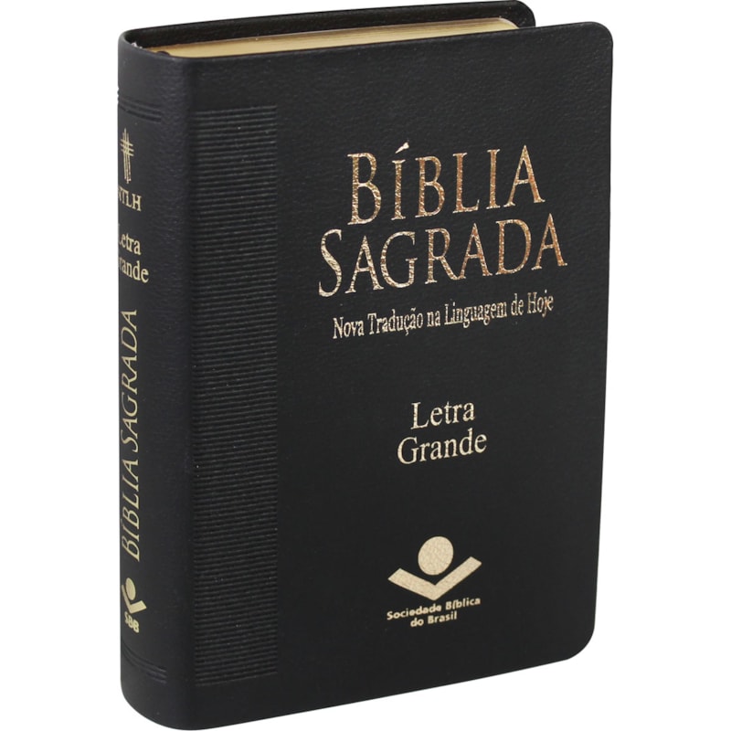 BÍBLIA SAGRADA NTLH LETRA GRANDE: NOVA TRADUÇÃO NA LINGUAGEM DE HOJE (NTLH)