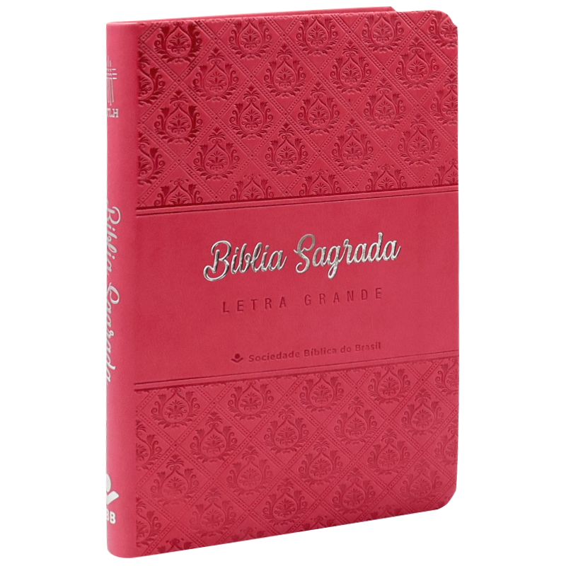 BÍBLIA SAGRADA NTLH LETRA GRANDE: NOVA TRADUÇÃO NA LINGUAGEM DE HOJE (NTLH)
