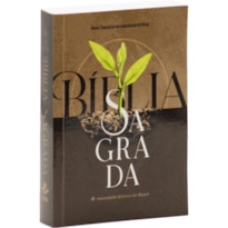 BÍBLIA SAGRADA NTLH, LETRA MAIOR, CAPA BROCHURA: NOVA TRADUÇÃO NA LINGUAGEM DE HOJE (NTLH)