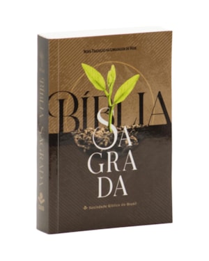 BÍBLIA SAGRADA NTLH, LETRA MAIOR, CAPA BROCHURA: NOVA TRADUÇÃO NA LINGUAGEM DE HOJE (NTLH)