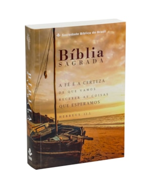 BÍBLIA SAGRADA NTLH PARA EVANGELISMO, LETRA GIGANTE, COM MAPA, CAPA BROCHURA ILUSTRADA: TERRACOTA: NOVA TRADUÇÃO NA LINGUAGEM DE HOJE (NTLH)