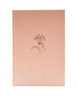 BÍBLIA SAGRADA NTLH PARA MULHER, LETRA REGULAR, COM MAPA, CAPA DURA ROSA: NOVA TRADUÇÃO NA LINGUAGEM DE HOJE (NTLH)