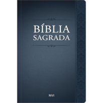 Bíblia Sagrada NVI - Arabesco: o livro dos livros