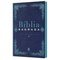 BÍBLIA SAGRADA - NVI - CLÁSSICA: C/ PLANO LEITURA