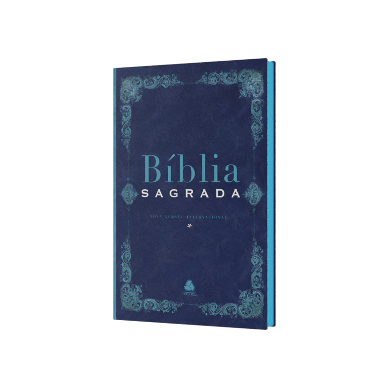 BÍBLIA SAGRADA - NVI - CLÁSSICA: C/ PLANO LEITURA
