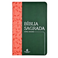 BÍBLIA SAGRADA NVI, COURO SOFT, VERDE, LETRA GRANDE, LEITURA PERFEITA