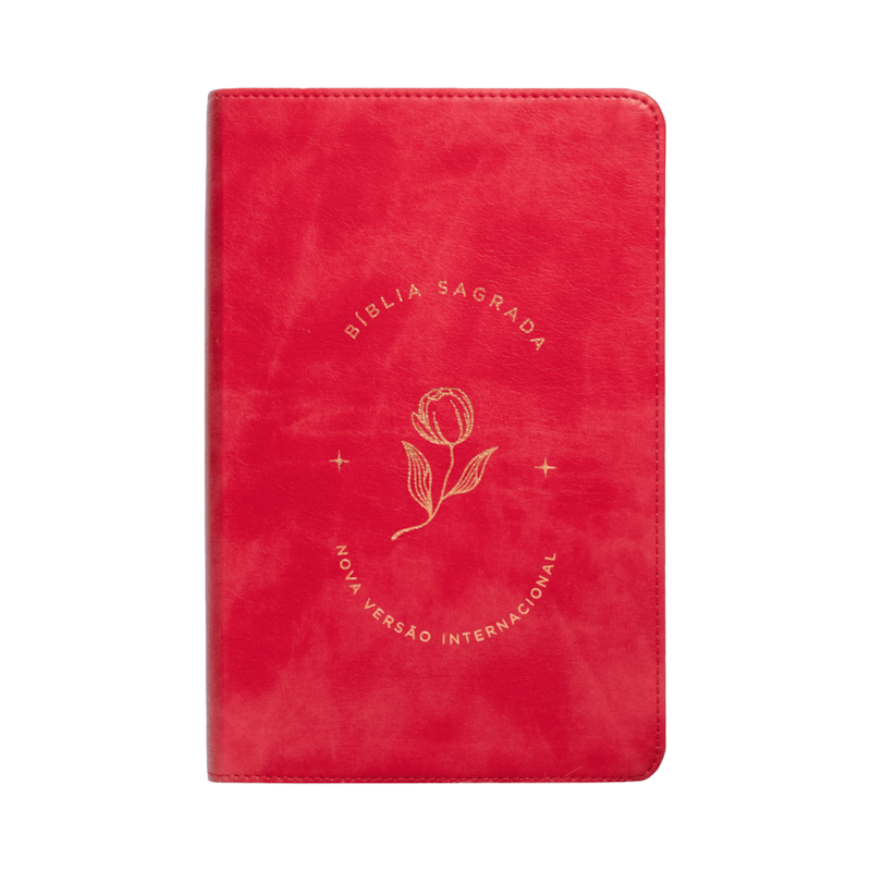 BÍBLIA SAGRADA NVI, LETRA GRANDE, CAPA LUXO ROSADA, LEITURA PERFEITA