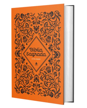 Bíblia Sagrada NVI - Letra Grande: Clássica