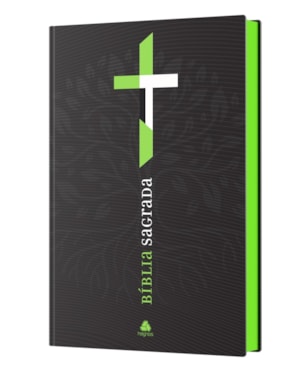 Bíblia Sagrada NVI - NEON Verde: Nova versão internacional - nvi