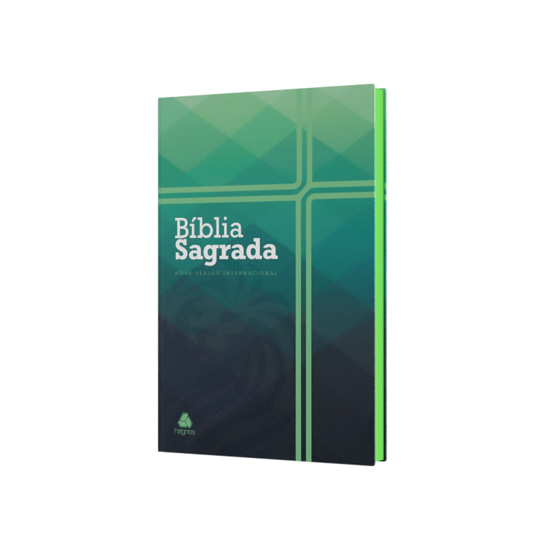 BÍBLIA SAGRADA - NVI - PROVÉRBIOS: C/ PLANO LEITURA