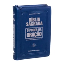 BÍBLIA SAGRADA - O PODER DA ORAÇÃO AZUL - SEM BORDA