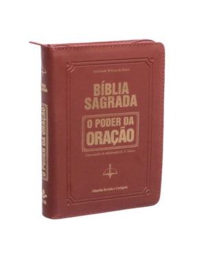 BÍBLIA SAGRADA - O PODER DA ORAÇÃO CARAMELO SEM BORDA