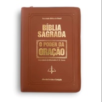 BÍBLIA SAGRADA - O PODER DA ORAÇÃO MARROM