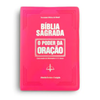 BÍBLIA SAGRADA - O PODER DA ORAÇÃO PINK