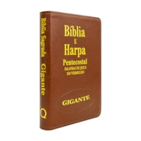 Bíblia Sagrada RC Com Harpa E Corinhos - Capa Zíper Whisk