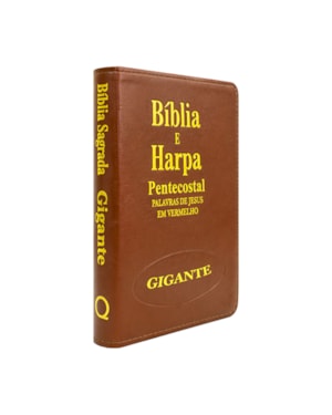 Bíblia Sagrada RC Com Harpa E Corinhos - Capa Zíper Whisk