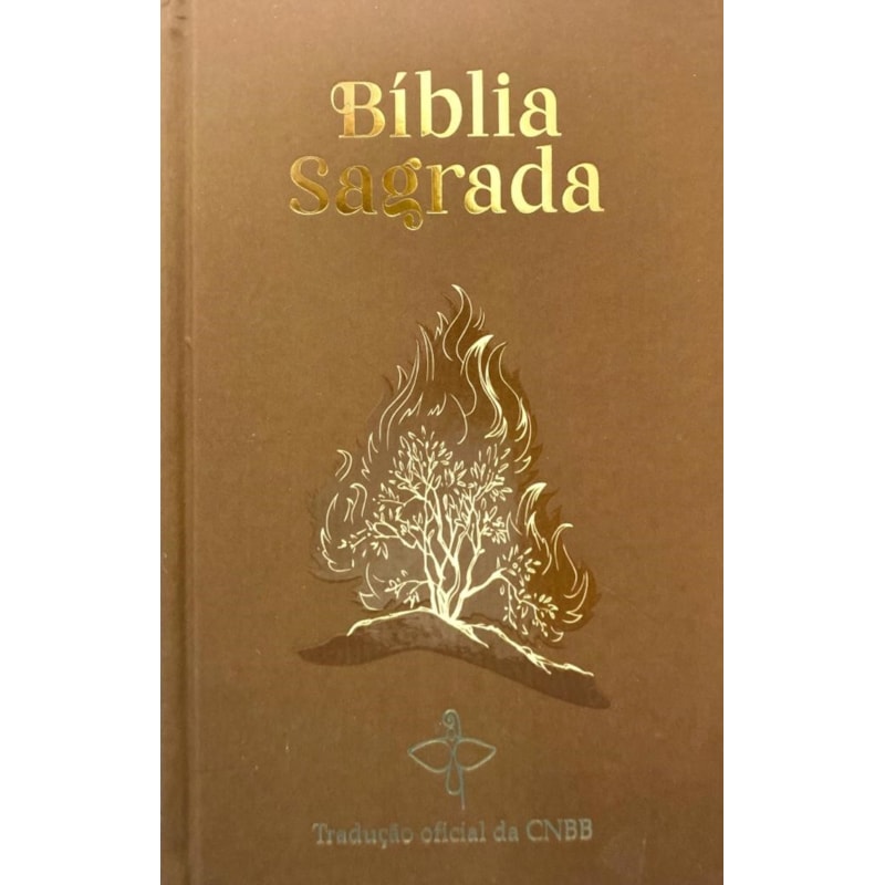 Bíblia Sagrada: Sarça Ardente