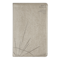 BÍBLIA SAGRADA SLIM ACF, LUXO, COURO-SOFT, CINZA
