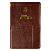 BÍBLIA SAGRADA SLIM ACF, LUXO, COURO-SOFT , MARROM, COM BOLSO