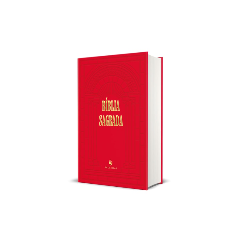 BÍBLIA SAGRADA - TRADUÇÃO DO PE. MANUEL DE MATOS SOARES