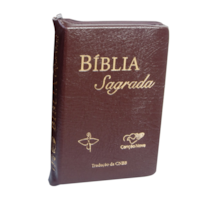 BIBLIA SAGRADA TRADUCAO OFICIAL CNBB - LUXO COM ZIPER MARROM
