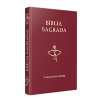 Bíblia Sagrada: Tradução Oficial da CNBB