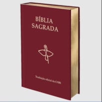 BÍBLIA SAGRADA - TRADUÇÃO OFICIAL DA CNBB - 6ª EDIÇÃO - SEMILUXO